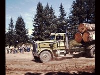 Log Truck 5